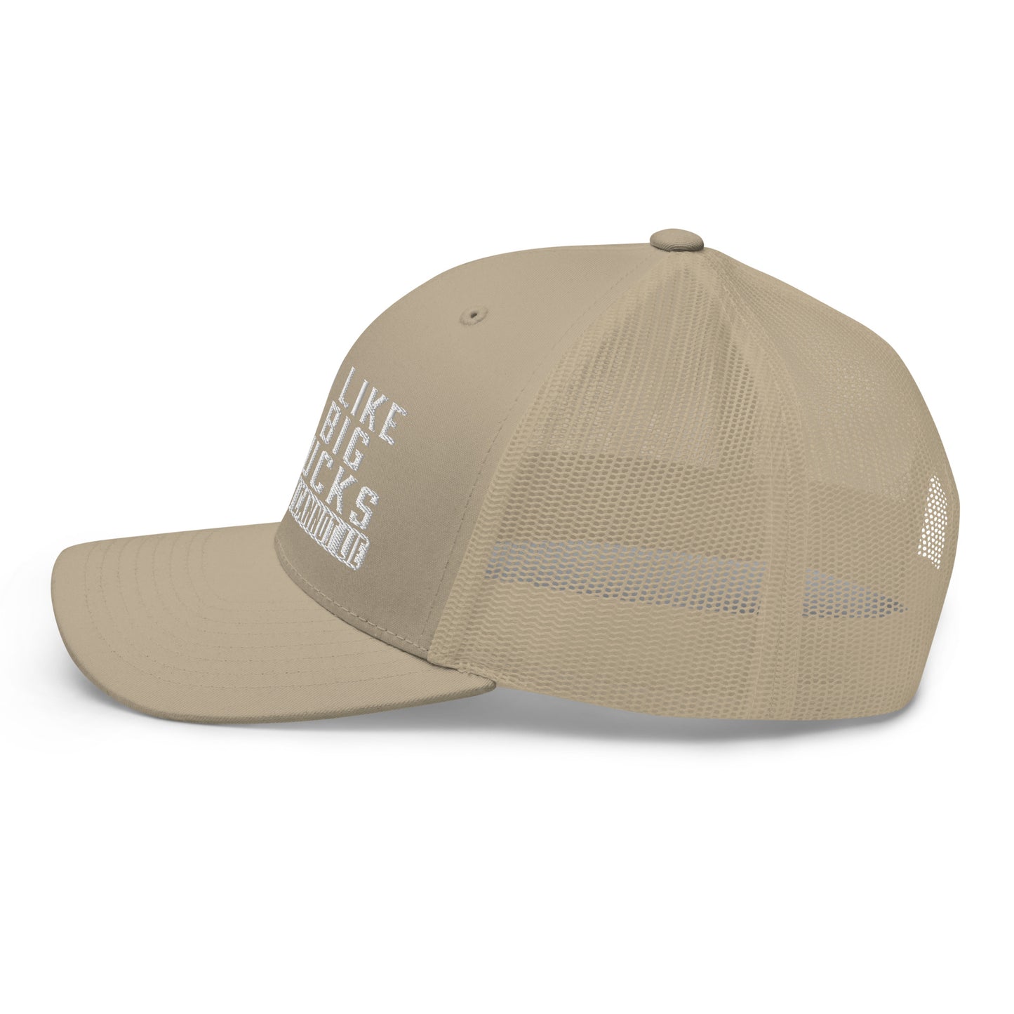 I Like Big Bucks And I Cannot Lie Snapback Trucker Hat