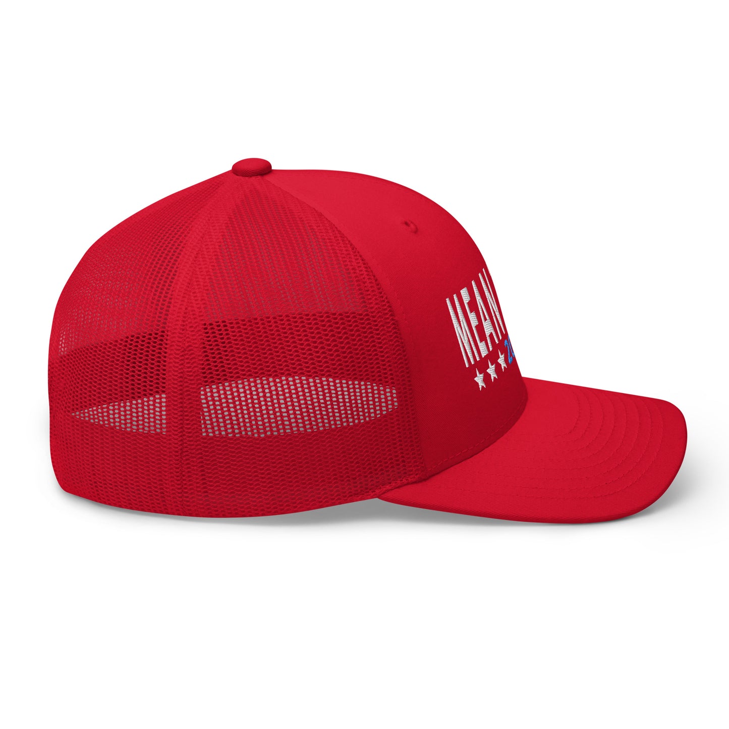 Mean Tweets 2024 Snapback Hat